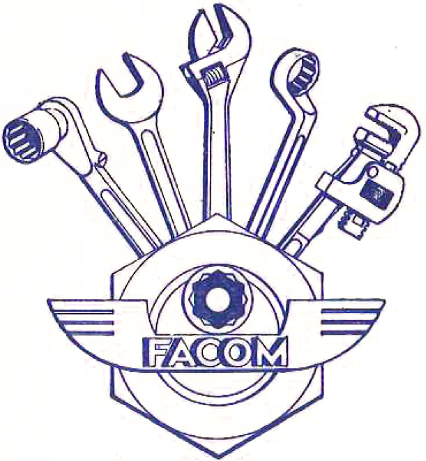Logo FACOM