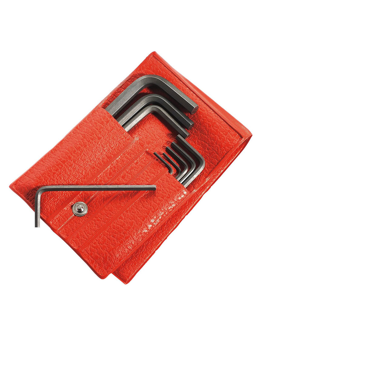 Jeu de clés mâles 6 pans en trousse